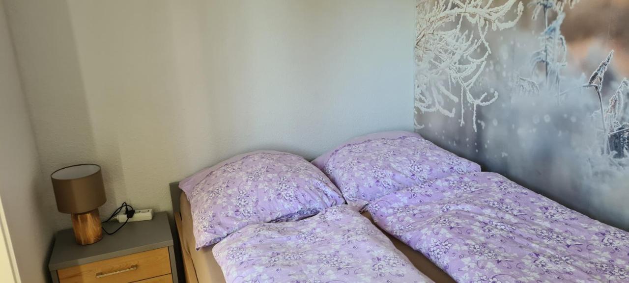 Appartement 7 101 กอสลาร์ ภายนอก รูปภาพ